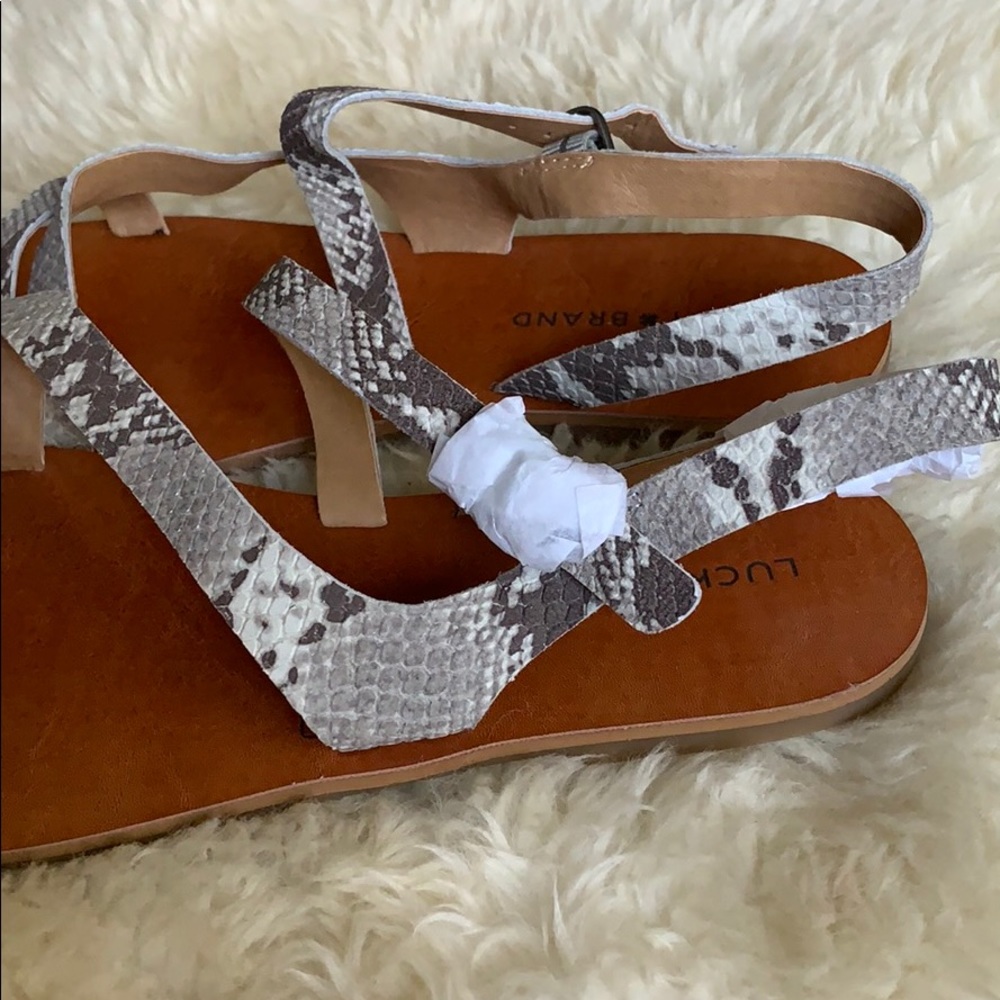 Lucky Brand Summer Sandals 😍 - Picture 7 of 7